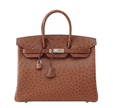 hermes oestrich|The Most Popular Ostrich Hermès Bags .